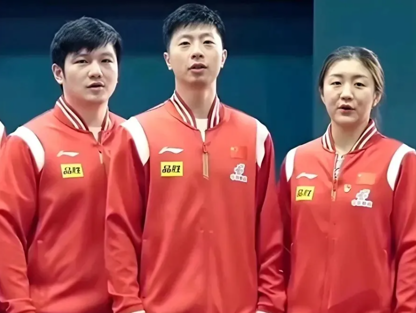 中国乒乓球队险胜法国乒乓球队，波尔爆发神勇的简单介绍