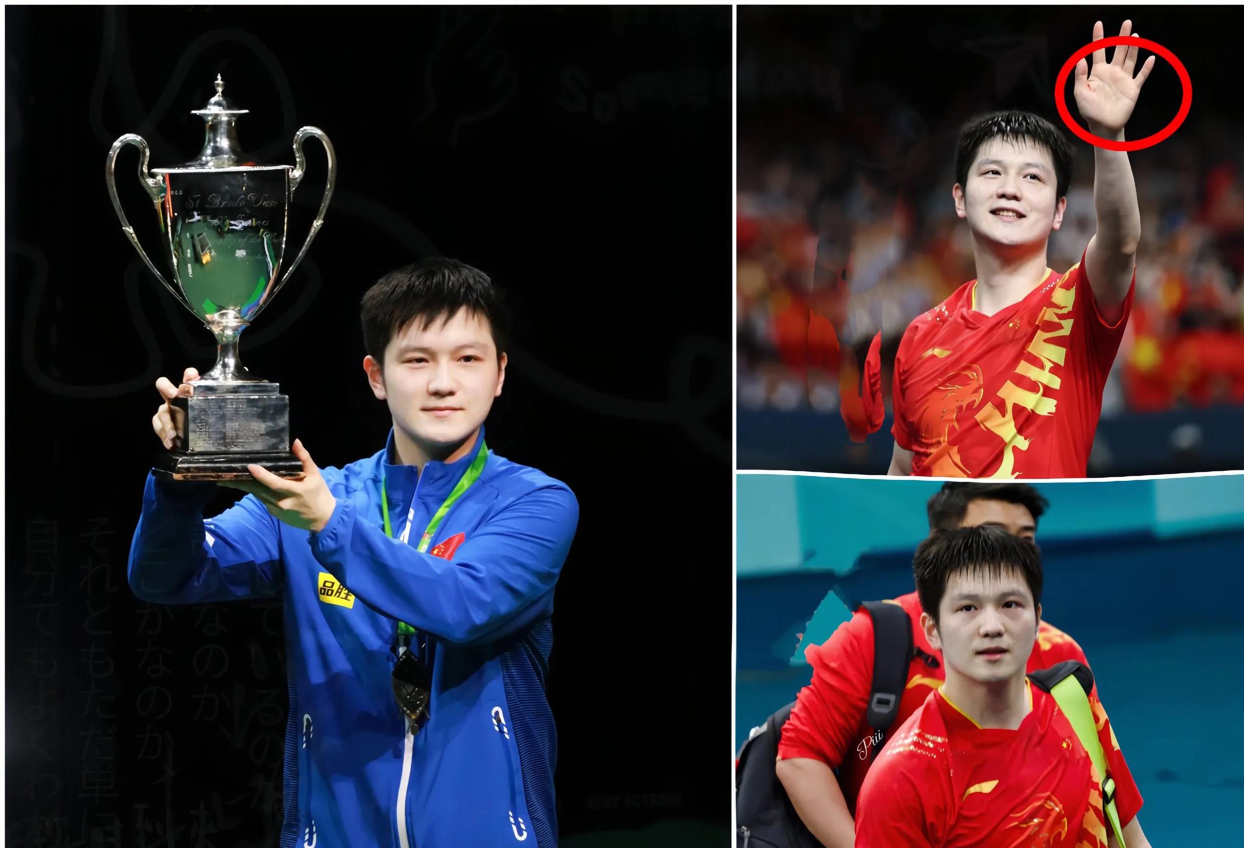 中国乒乓球队血洗比利时乒乓球队，樊振东送出助攻