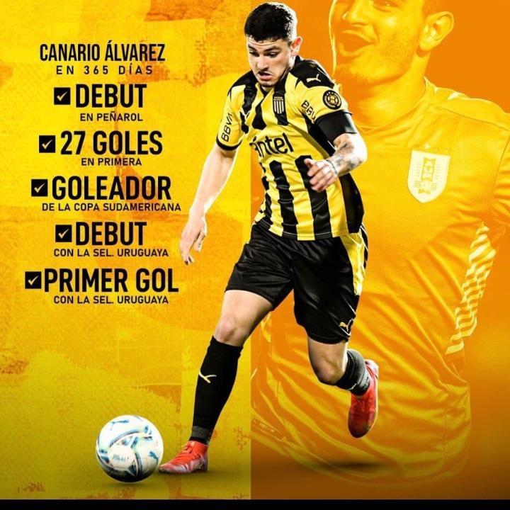 荷兰翻盘乌拉圭，阿尔瓦雷斯扛起全队