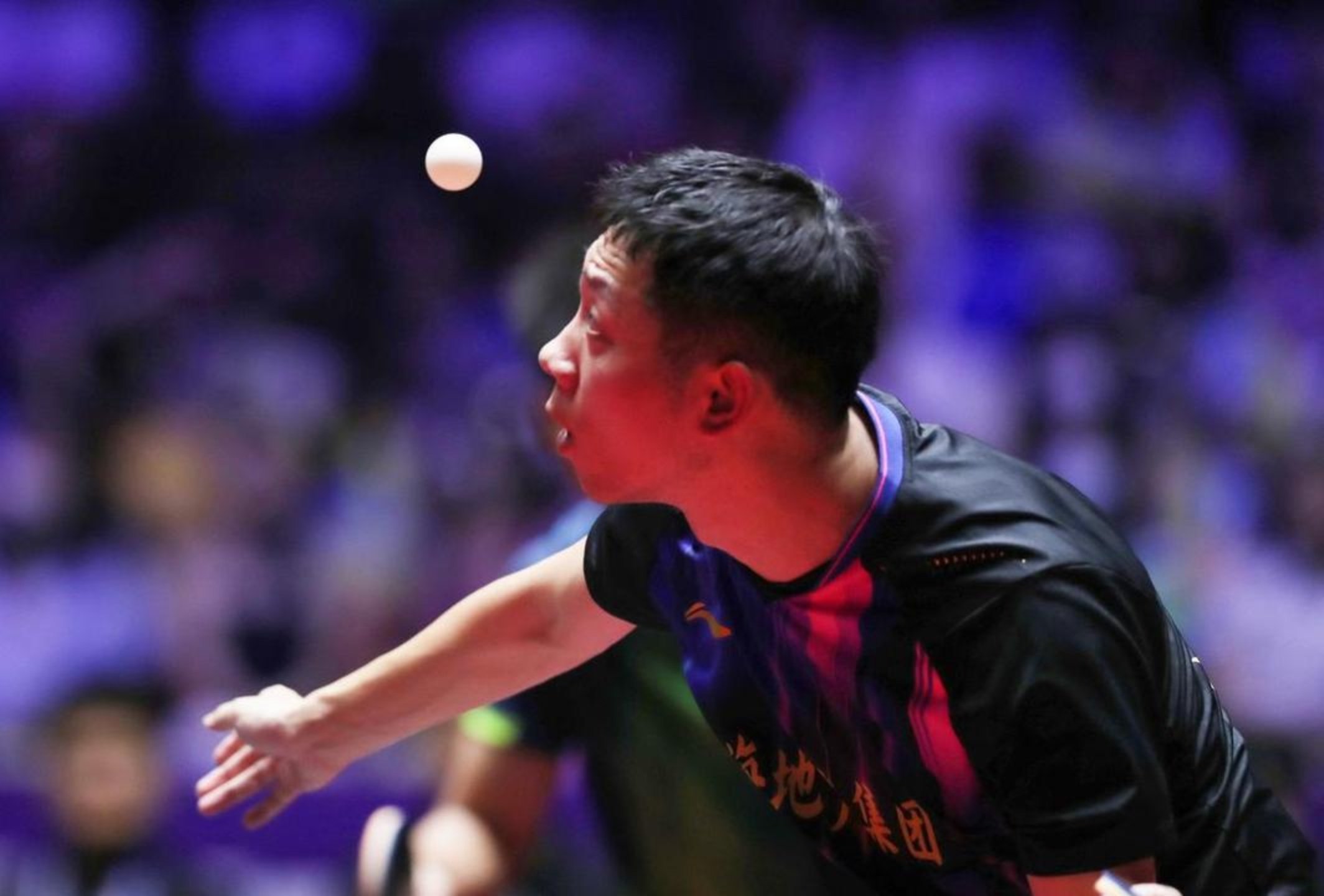 德国队轻取葡萄牙队，许昕惊艳四座