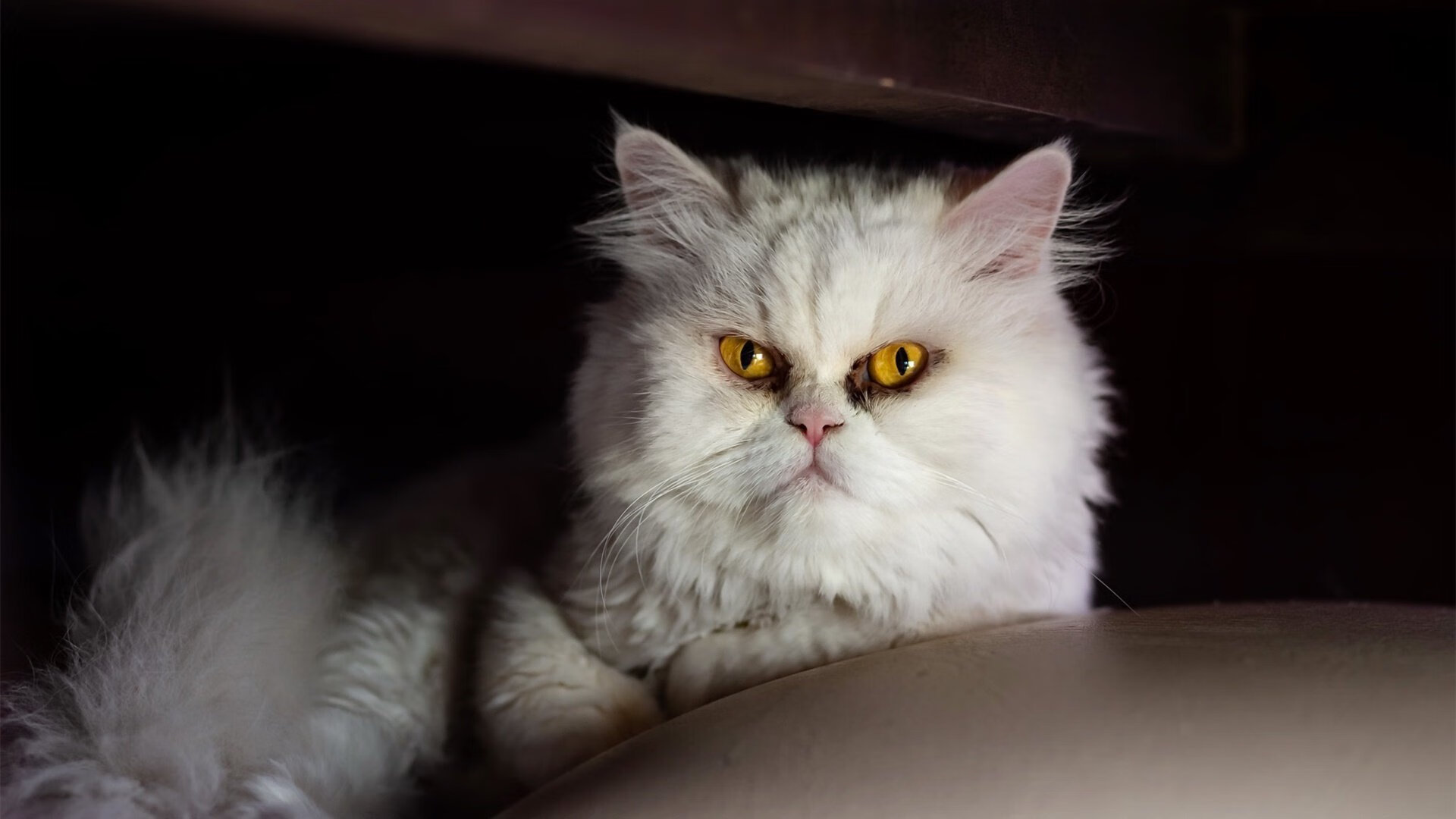 北境惊雷与巴萨残梦,当弑神的挪威少年遇见封神的阿根廷魔术师