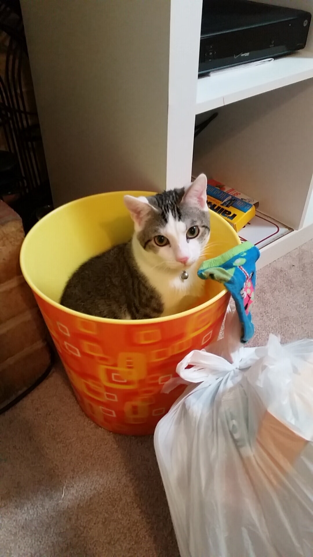 熔炉中的火种,穆雷用温网式搏杀点燃年终总决赛