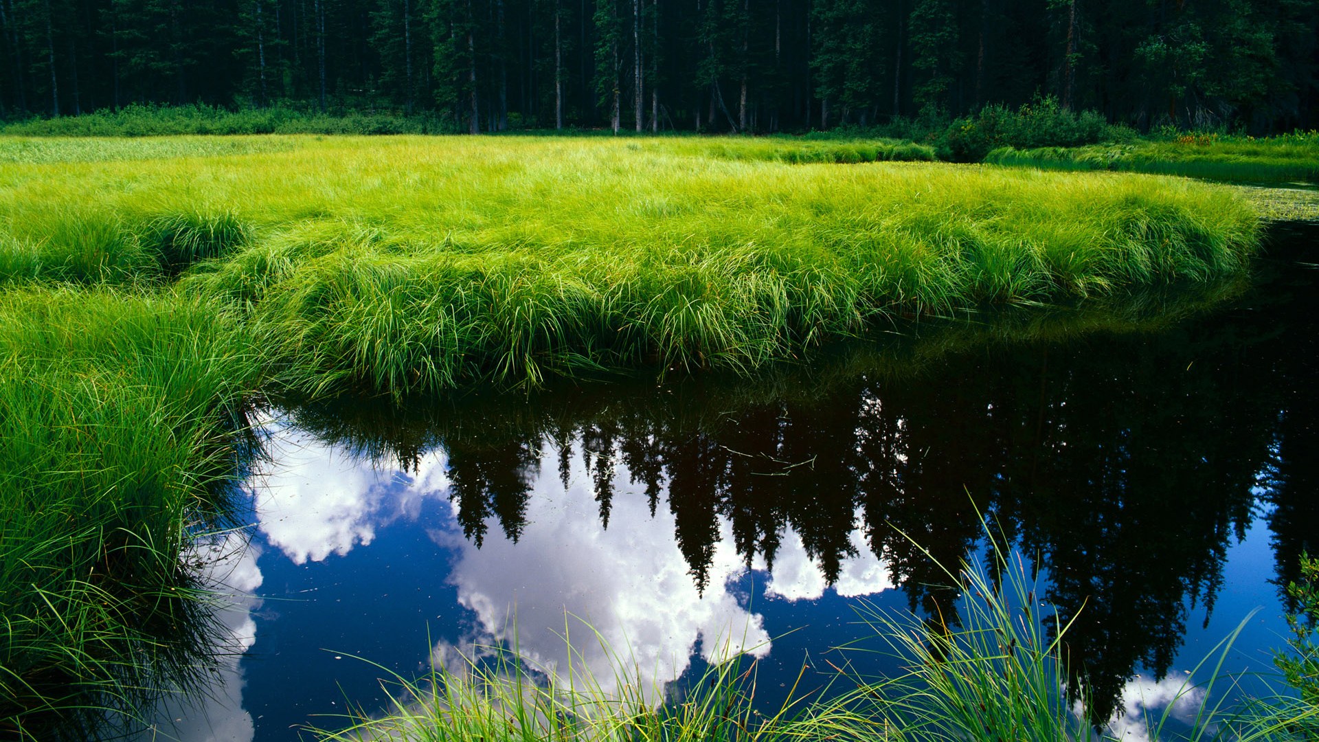 狂喜与冷峻，奥运足球史上两场无法复制的逆转
