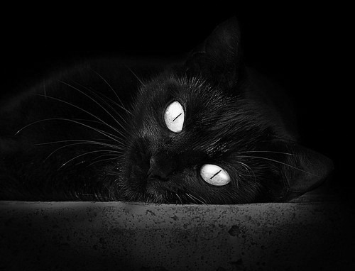 高原烽烟，当欧冠战歌在南美之巅响起，加纳如何被玻利维亚主场魔法粉碎？