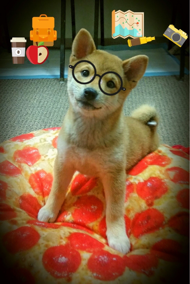 玫瑰与荆棘，当皇家马德里的纯白传奇，鏖战于苏格兰的暗夜与风暴