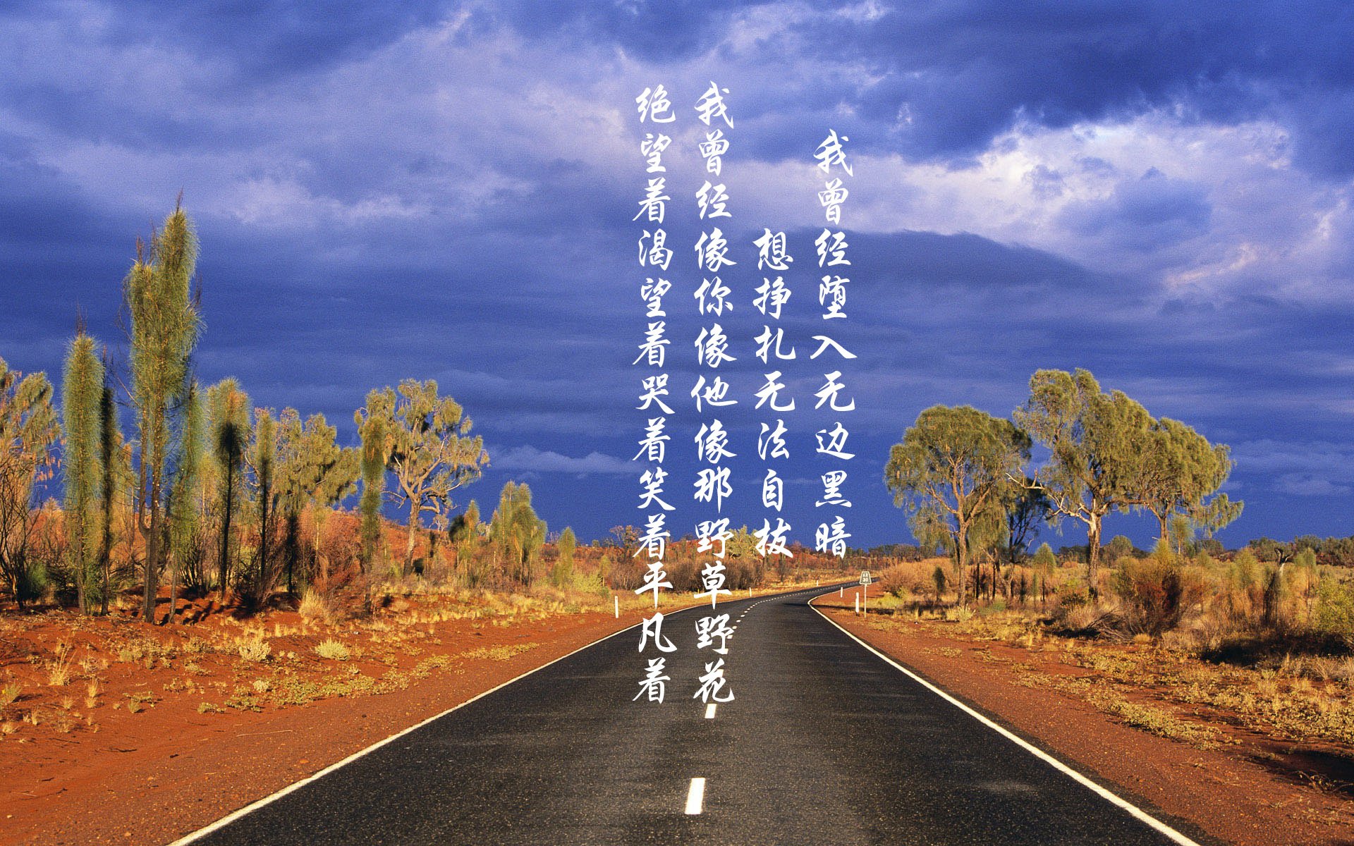 蓝黄风暴,2026世界杯淘汰赛焦点战,坎塞洛一人撕裂北欧防线,哥伦比亚大胜瑞典写就孤本传奇
